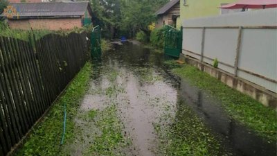 На Львівщині дерево перекрило рух транспорту (ФОТО)
