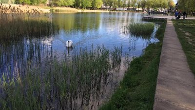 На Левандівці з «Жаби» зроблять сучасне озеро для відпочинку (ФОТО)