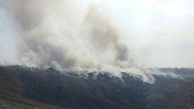 Поблизу  Новояворівська горить сміттєзвалище