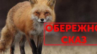 ​Ще у двох населених пунктах Дрогобицької громади запровадили карантин через сказ