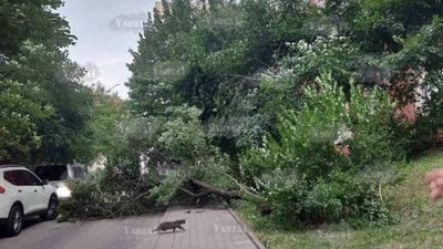 На Львівщині затопило місто