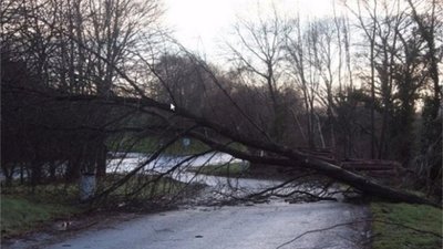 У Франції через шторм - без світла 10 тисяч будинків