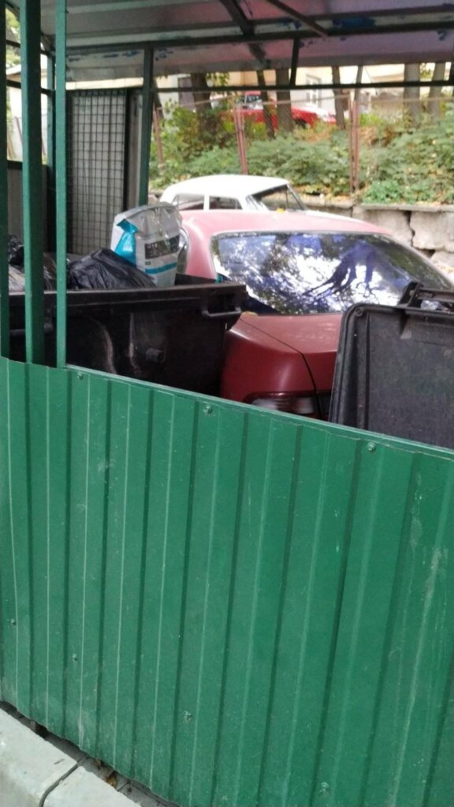 У Львові водій оригінально запаркувався біля смітників, фото РагуLIVE