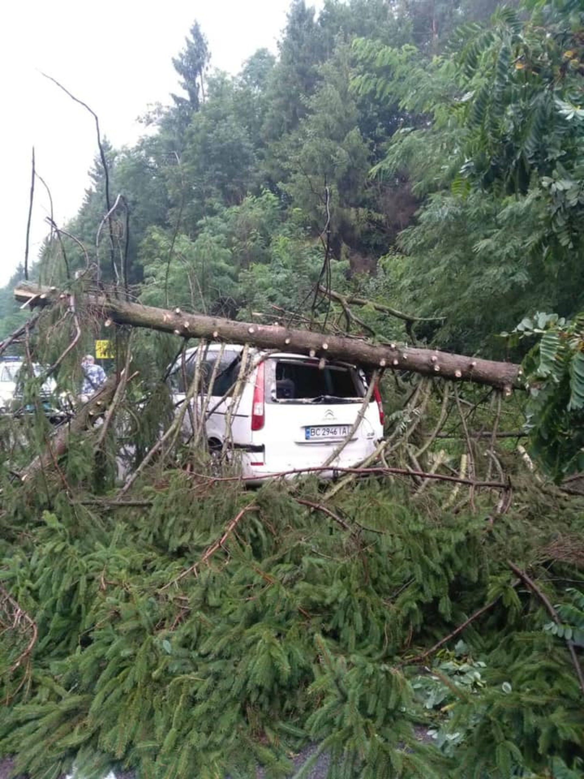 Як на міжнародній трасі на Львівщині дерево понищило автомобілі. Фото Варта-1
