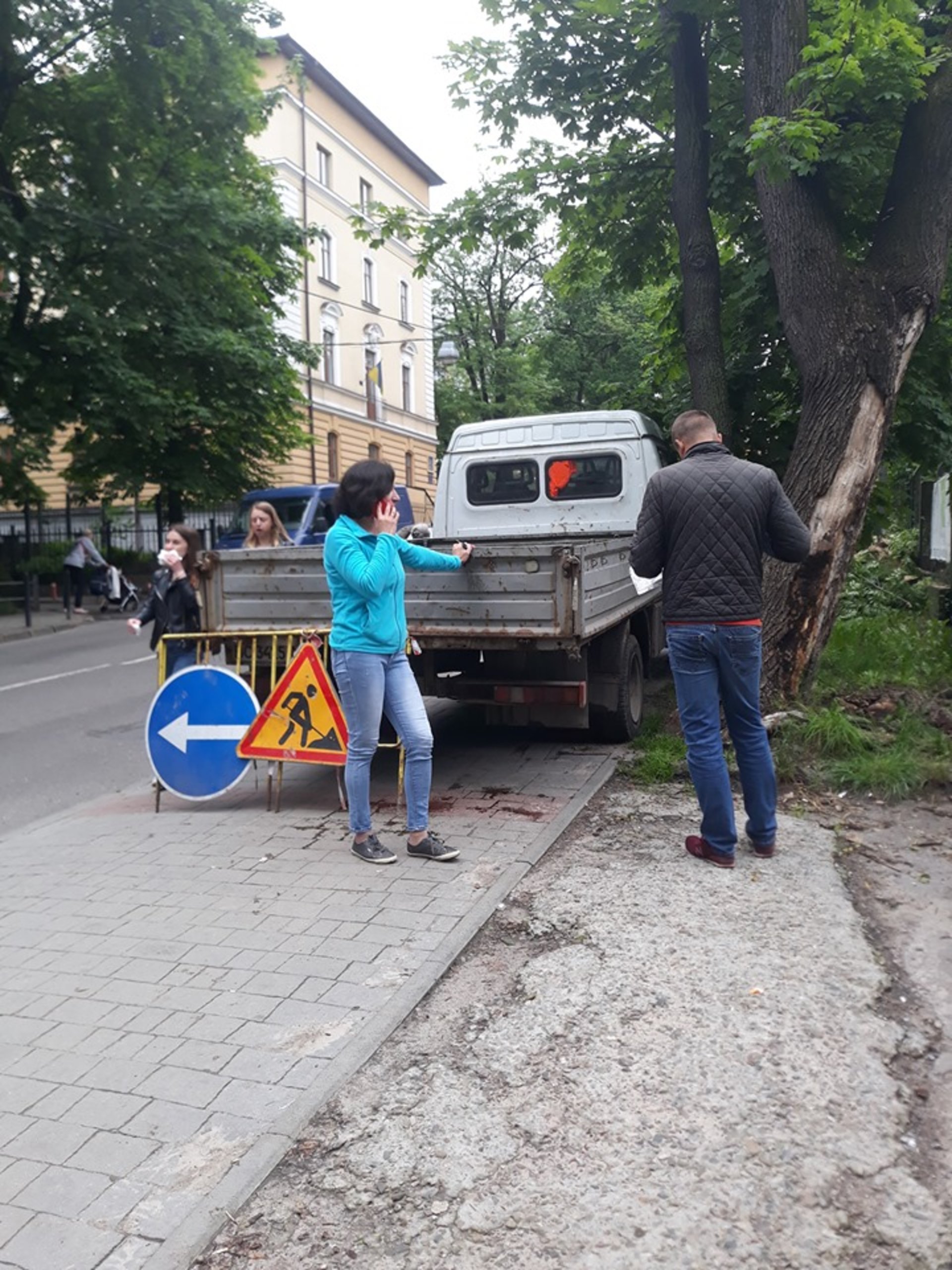 Підлеглі Садового продовжують зрізати дерева у Львові