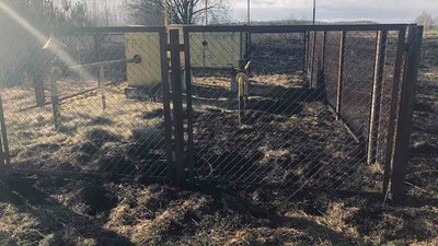 На Львівщині фермери влаштували масштабну пожежу сухостою (ФОТО)