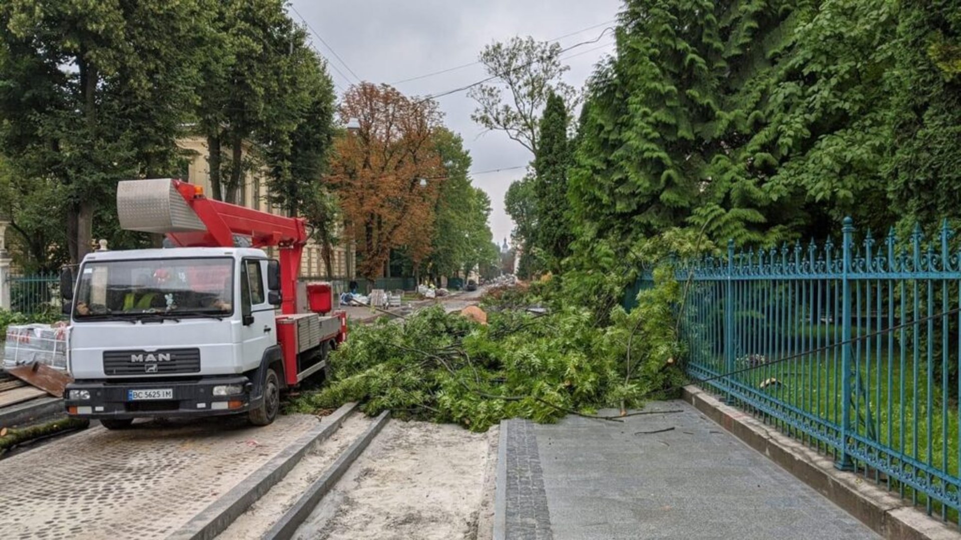 У Львові на Пекарській зрізали два дерева, фото ВелоЛьвів