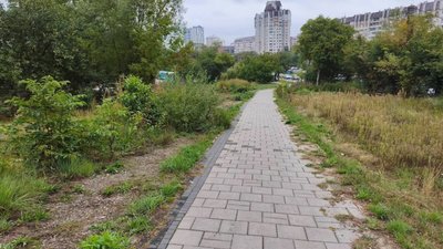 У Львові заростає улюблений проспект Любомира Зубача