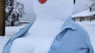 Мешканці Львівщини похвалилися оригінальними сніговиками (ФОТО, ВІДЕО)