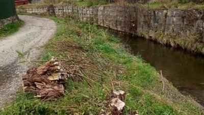 У Турці проводять роботи з укріплення берегів річки Літмир