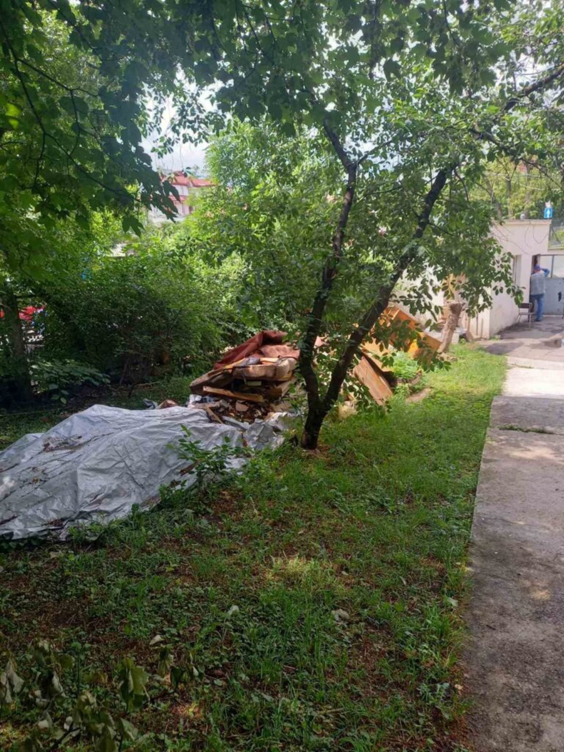 Врятувати чи обікрасти львівських художників
