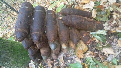 На Львівщині у лісі виявили склад застарілих артснарядів