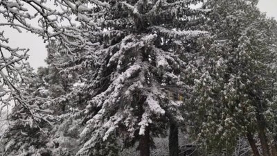 У Львові пішоходів закликають користуватися світловідбивачами