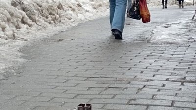 У Львові на тротуарі помітили перешкоду (ФОТО)
