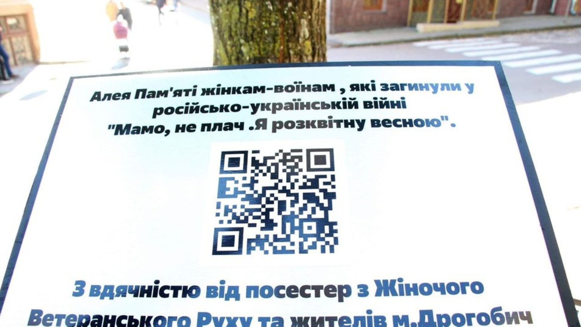 У Дрогобичі висадили Алею пам'яті загиблим ветеранкам
