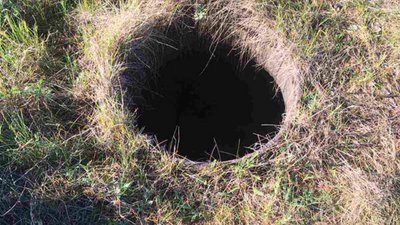 На Яворівщині собаку врятували від загибелі у каналізації (ФОТО)