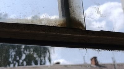 У Львові курсують брудні трамваї