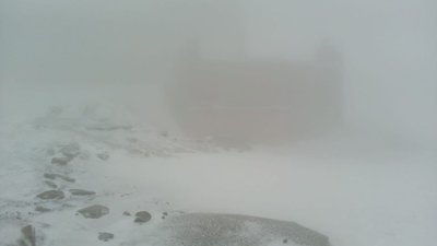 Карпати знову засніжило (ФОТО)