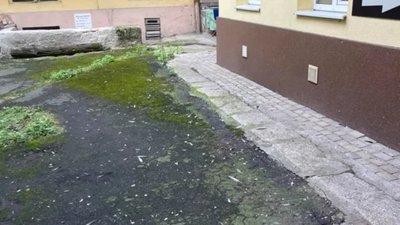 У центрі Львова комунальники Садового не прибирають сміття