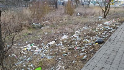Нема смітників: у Львові зупинку замістили недопалками (ФОТО)