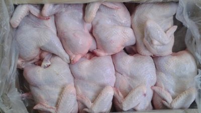 Держпродспоживслужба Львівщини попередила про сальмонелу у м‘ясі бройлерів