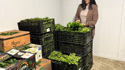 Майже 43 тонни заражених овочів не потрапили в Україну