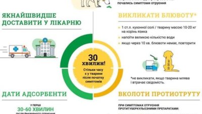 У Новояворівську зафіксували факт отруєння собаки