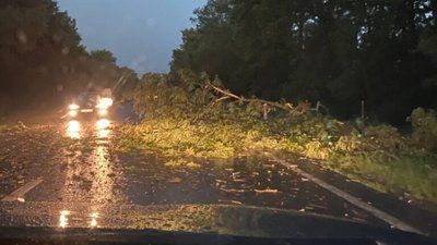 На трасі «Львів - Самбір» дерева перекрили дорогу (ФОТО)