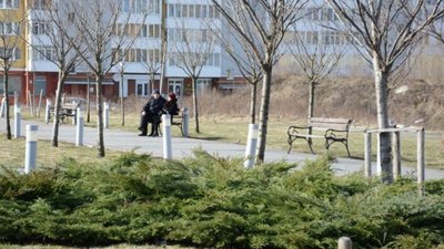 Мешканців запрошують долучитись до озеленення міста та висадити власне дерево