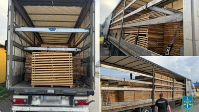 У Львові судитимуть підприємця, який незаконно збував деревину за кордон