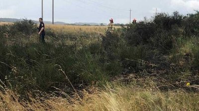 На Львівщині горіла суха трава та чагарники