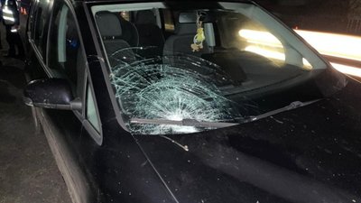 На Львівщині загинула літня жінка