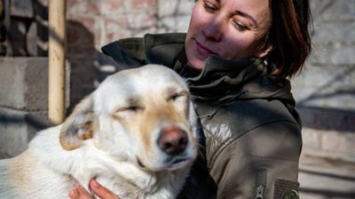 Військові просять мешканців Львівщини прихистити бойового пса з позивним «Білий»