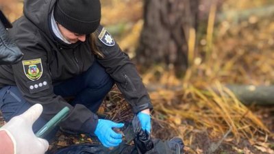 У лісах Київщини продовжують знаходити тіла вбитих мирних жителів