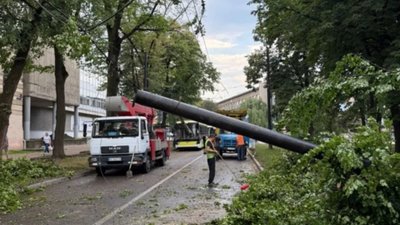 У Львові негода повалила 90 дерев (ФОТО)
