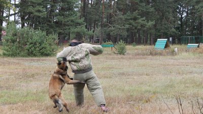 На Львівщині змагалися собаки-прикордонники (ФОТО)
