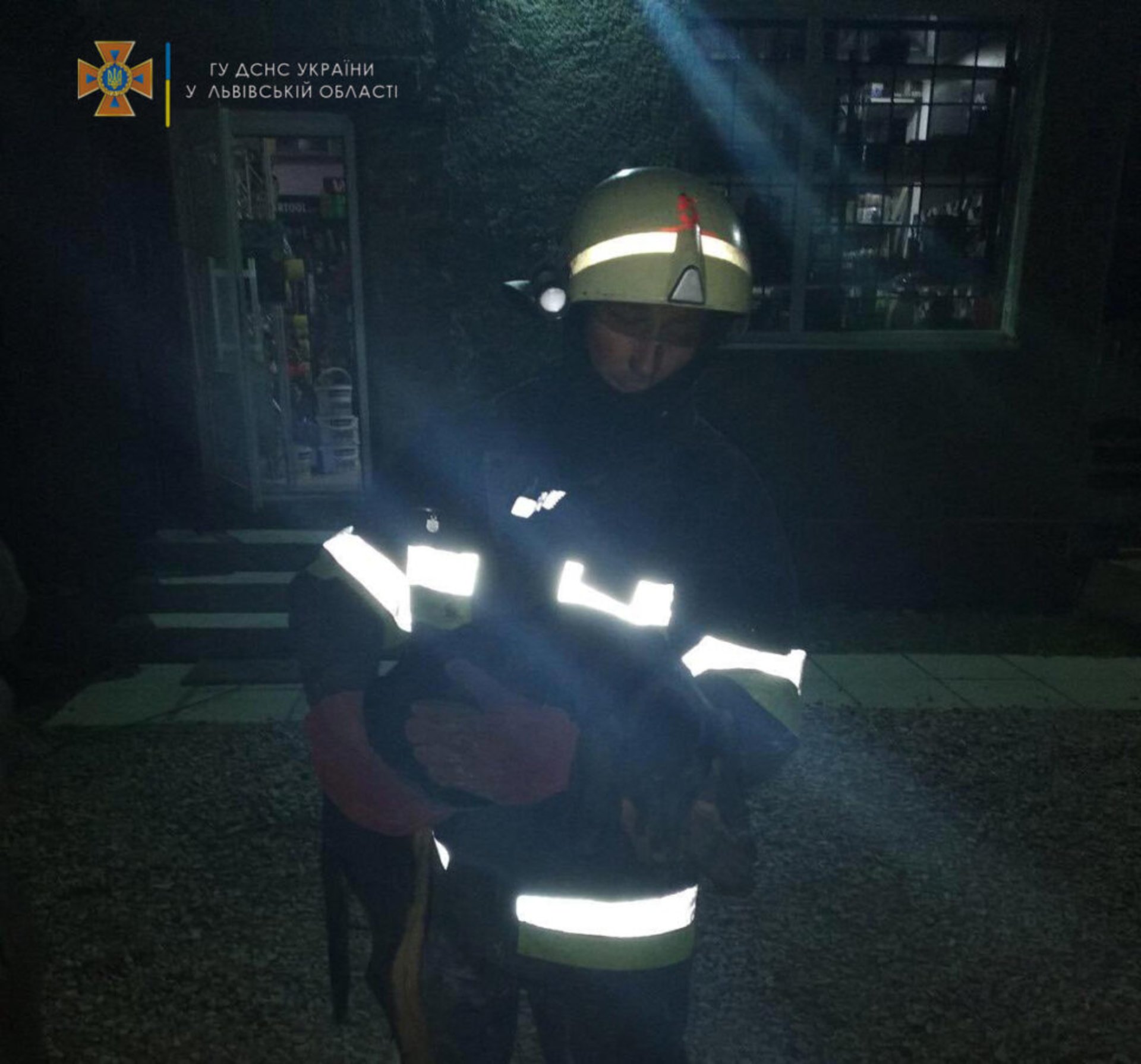 У Дрогобичі, що на Львівщині, надзвичайники врятували собаку, який застряг між металевим гаражем і складом