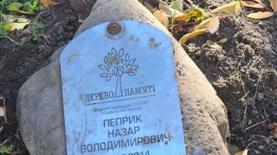 У Львові зрізали дерево памʼяті