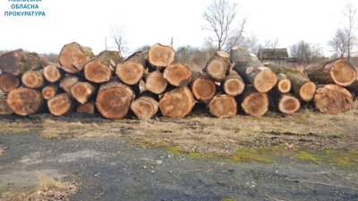 На Львівщині на вирубці лісу заробили 200 тисяч гривень