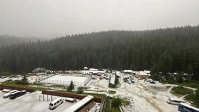 Карпати засипало снігом