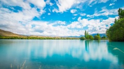 У Львові проводять розслідування щодо забруднення озера
