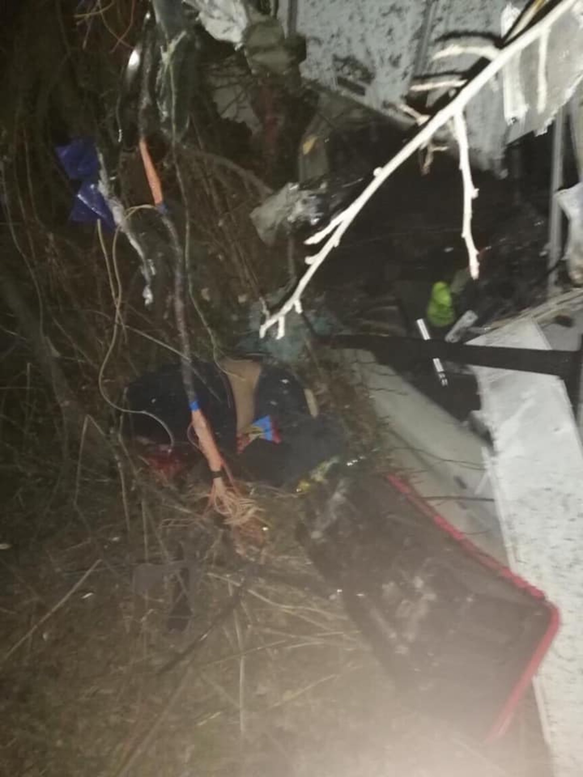 На Львівщині розбились три вантажівки, один водій загинув. Фото Варта-1