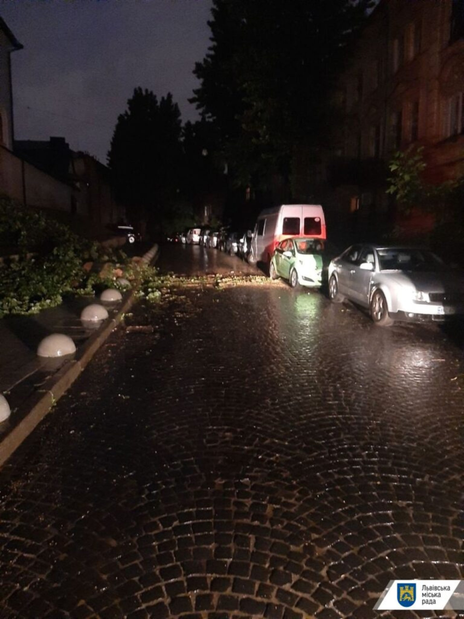 У Львові негода повалила 11 дерев