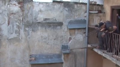 Як у центрі Львова дев‘ять чоловіків кота рятували (ВІДЕО)