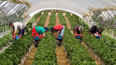 Українські вчителі так і не повернулися із заробітків до 1 вересня