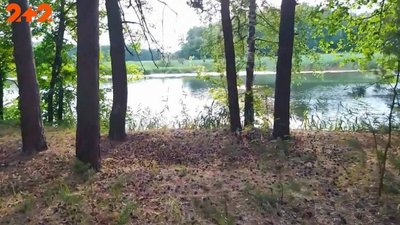 На Київщині велетенська риба вийшла з води (ВІДЕО)