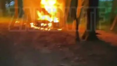 В елітному лісі біля Львова згорів автомобіль (ВІДЕО)
