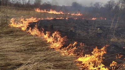 У Яворівській громаді «на гарячому» спіймали паліїв трави (ВІДЕО)