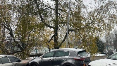 У Львові на Липовій Алеї не розминулись автомобілі (ФОТО, ВІДЕО)