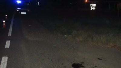 На Львівщині водій автомобіля залишив травмовану жінку на дорозі (ВІДЕО)